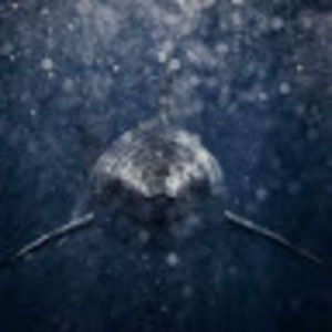 Meet your Posher, Skilly